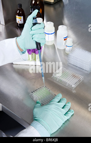 A lab technician using a dropper to put samples into a tray of test tubes, close-up of hands Stock Photo