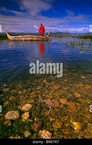 Lake Titicaca with local Indian in traditional reed boat and Giant Titicaca frog {Telmatobius culeus} in foreground, captive rel Stock Photo