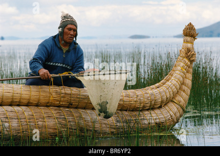 Indian catching Giant Titicaca frog {Telmatobius culeus} Lake Titicaca, Bolivia Stock Photo