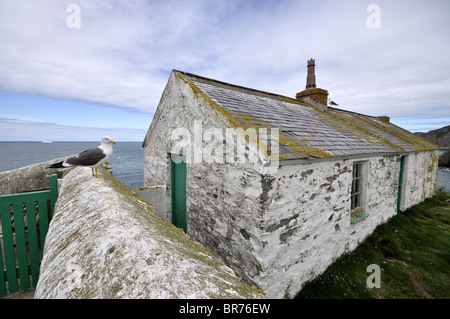 South Stack Lighthouse keepers cottage Anglesey North Wales UK Stock Photo