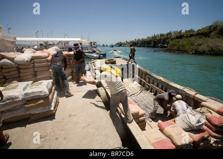 Dock workers unload a barge filled with bags of cement needed to supply Puerto Ayora's ongoing contstruction boom. Stock Photo