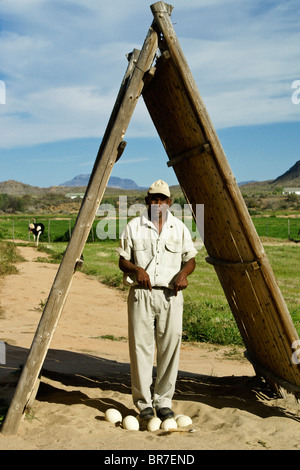 Man standing on ostrich eggs, Highgate Ostrich Show Farm, Oudtshoorn, South Africa Stock Photo