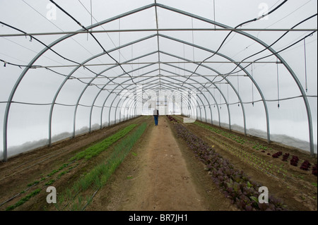 Hoop house on Davon Crest II farm, Trappe MD Stock Photo