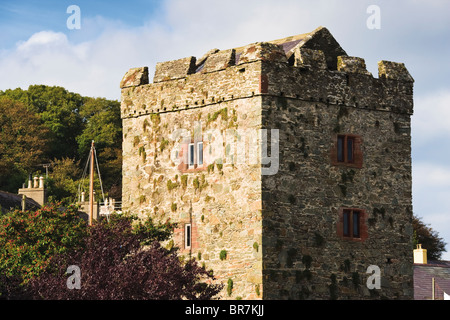 Strangford Castle, overlooking the harbour at Strangford Lough, County Down, Northern Ireland Stock Photo