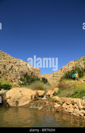 Judean desert, Ein Prat (Ein Fara) in Wadi Qelt Stock Photo