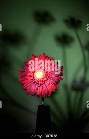 single red imitation flower showing against a green background with a silhouette of flower stems showing. Stock Photo