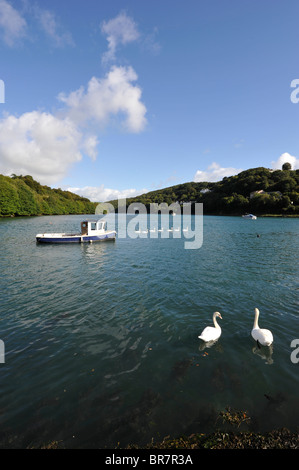 The pretty town of Looe in Cornwall Stock Photo