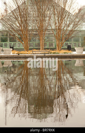 winter brooklyn botanic garden Stock Photo