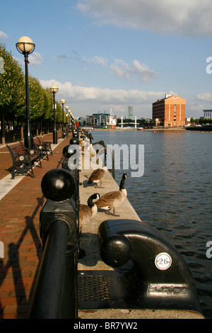 Car park on route of Glamorganshire Canal on west side of North Road,  Cardiff, with Nazareth House opposite and parking ticketing meter on right  Stock Photo - Alamy