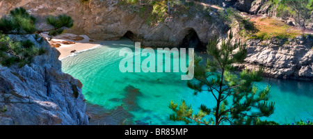 China beach with California Harbor Seals on beach. Point Lobos State Reserve, California Stock Photo