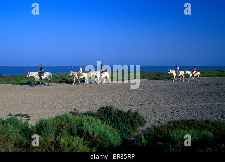 French people, tourists, horseback ride, riding horses, guided tour, Camarguais horse, Camarguais horses, The Camargue, Bouches-du-Rhone, France Stock Photo