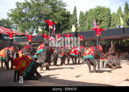 The famous elephant show in Nong Nooch tropical garden, Pattaya, Thailand Stock Photo