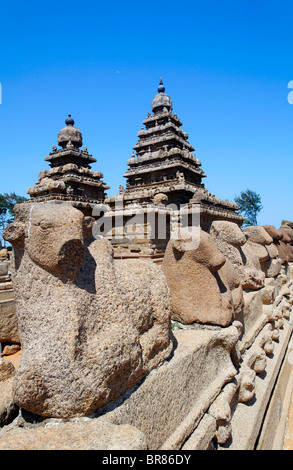 The Shore Temple, Mamallapuram, Tamil Nadu, India Stock Photo