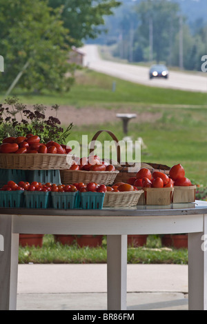 The rural landscape with farmer market in USA US lifestyle daily life blurry blurred background color colour accent accents concept monochrome hi-res Stock Photo
