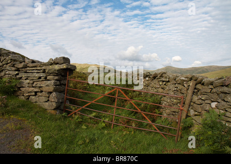 Old farmers gate to a field with dry stone wall in the Lake District Stock Photo