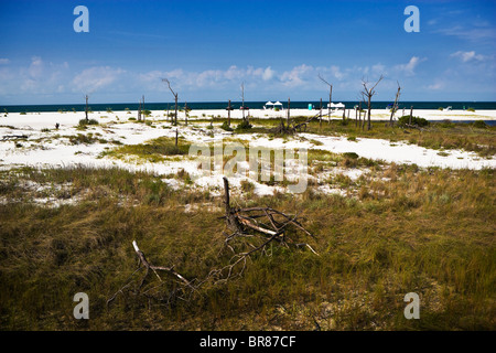 Oil spill clean-up crews work on white beaches along the Gulf Coast. Stock Photo