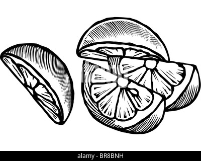 A black and white drawing of lemon wedges Stock Photo