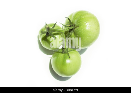 Green tomatoes, white background Stock Photo