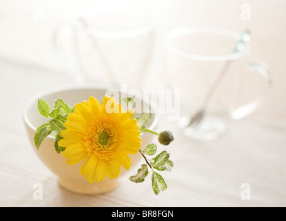 Yellow Gerbera Daisy in White Cafe Au Lait Cup
