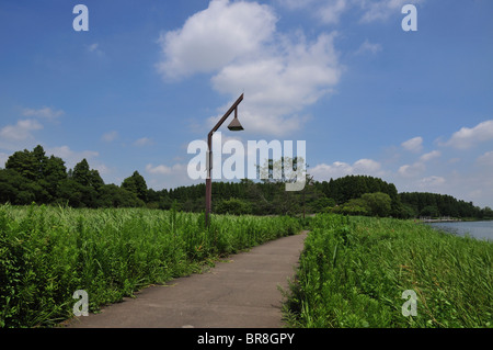 Mizumoto park in summer Stock Photo