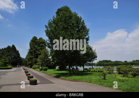 Mizumoto park in summer Stock Photo