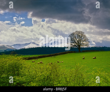 PEN-Y-FAN BRECON BEACONS IN WINTER SNOW Stock Photo