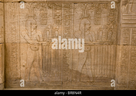 bas relief drawings inside the well preserved temple of Kom Ombo in Egypt Stock Photo