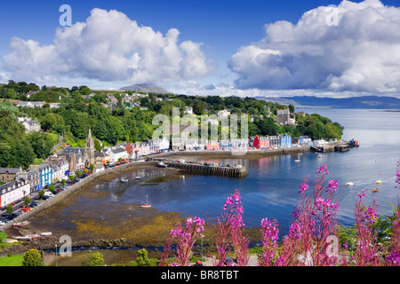 Tobermory, Isle of Mull, Argyll, Scotland, UK. Stock Photo