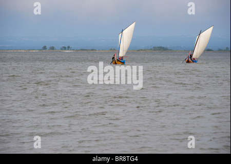 Two traditional Moliceiro boats near Aveiro, Portugal Stock Photo