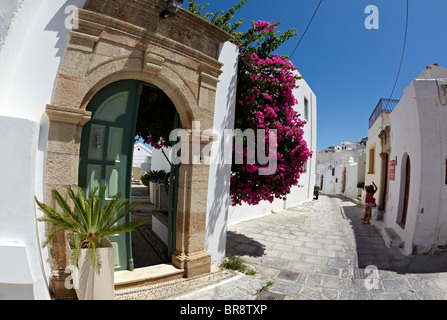 Flower Pots Outside Classic Villa  In Lindos Rhodes Greek Islands Greece Hellas Stock Photo