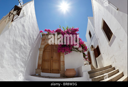 Flower Pots Outside Classic Villa  In Lindos Rhodes Greek Islands Greece Hellas Stock Photo