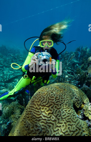 Female scuba diver in Key Largo Florida takes photograph of Symmetrical Brain Coral (Diploria strigosa) Stock Photo