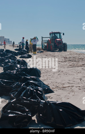 BP crews clean oil from beach, Gulf Shores, Alabama. Stock Photo