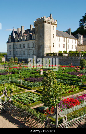 The Chateau de Villandry and the Potager garden, Indre et Loire, France Stock Photo