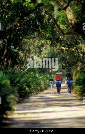 Backpackers walk in quiet solitude of the interior footpath through the pristine maritime forest on a sunny spring day on Georgi Stock Photo