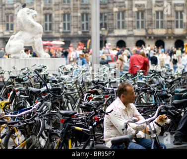 A man and dog rest among a sea of parked bicycles in the Dam Square Amsterdam The Netherlands (Holland). Stock Photo