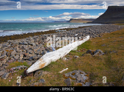 The dramatic coast of the West Fjords of Iceland near Latrabjarg, Vestfirdir Region Stock Photo