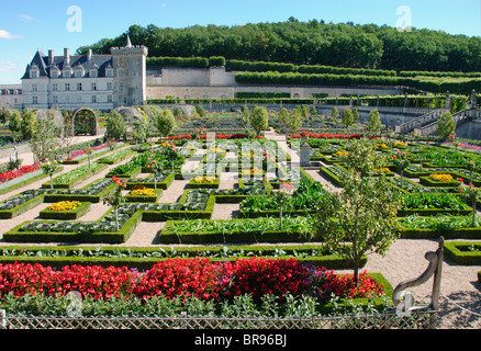The grounds of the Chateau de Villandry, Indre et Loire, France Stock Photo