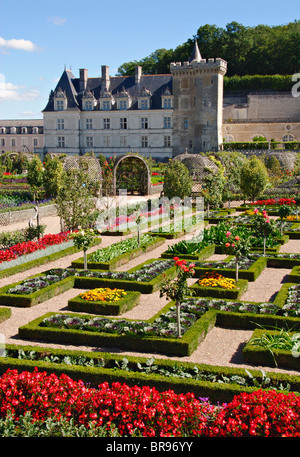 Gardens of the Chateau de Villandry,Indre et Loire, France Stock Photo