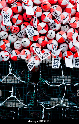 A stack of lobster traps and their buoys. Stock Photo