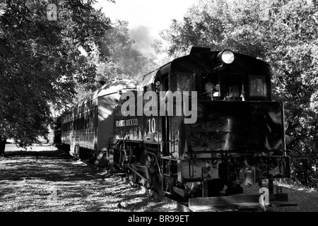 Steam train from the California State Railroad Museum Stock Photo