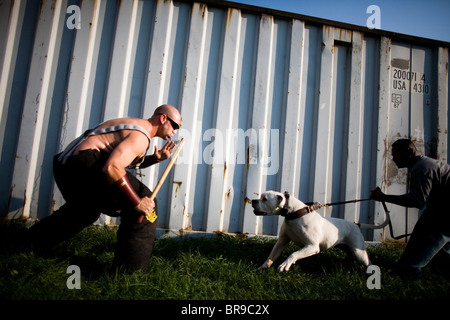 Man trains dog in Jeffersonville New York. Stock Photo