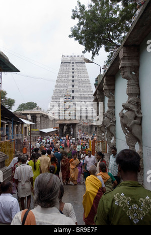 The Arunachaleshwara Temple (Chola Period 9th - 13th century) in Thiruvannamalai, Tamil Nadu. Stock Photo