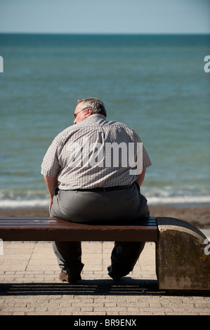 Rear view of an overweight man sitting on a seaside bench, UK Stock Photo