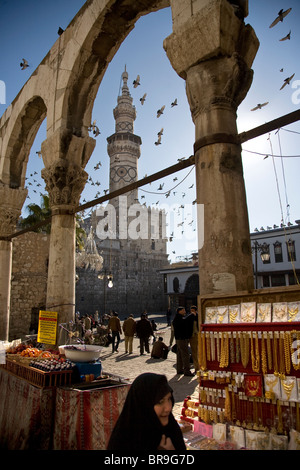 Pigeons outside Umayyad Mosque in Damascus Syria. Stock Photo