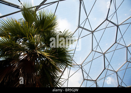 The Eden Project, botanical gardens, Cornwall, England designed by Nicholas Grimshaw Stock Photo