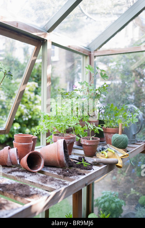 Overturned pots on workbench in potting shed Stock Photo