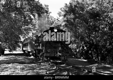 Steam train from the California State Railroad Museum Stock Photo