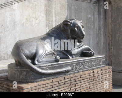 Italy, Rome, The Vatican Museum Basalt lion sculpture in front of Egyptian Museum in Vatican Stock Photo