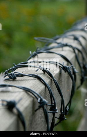 Barbed wire wrapped around a gate. Stock Photo